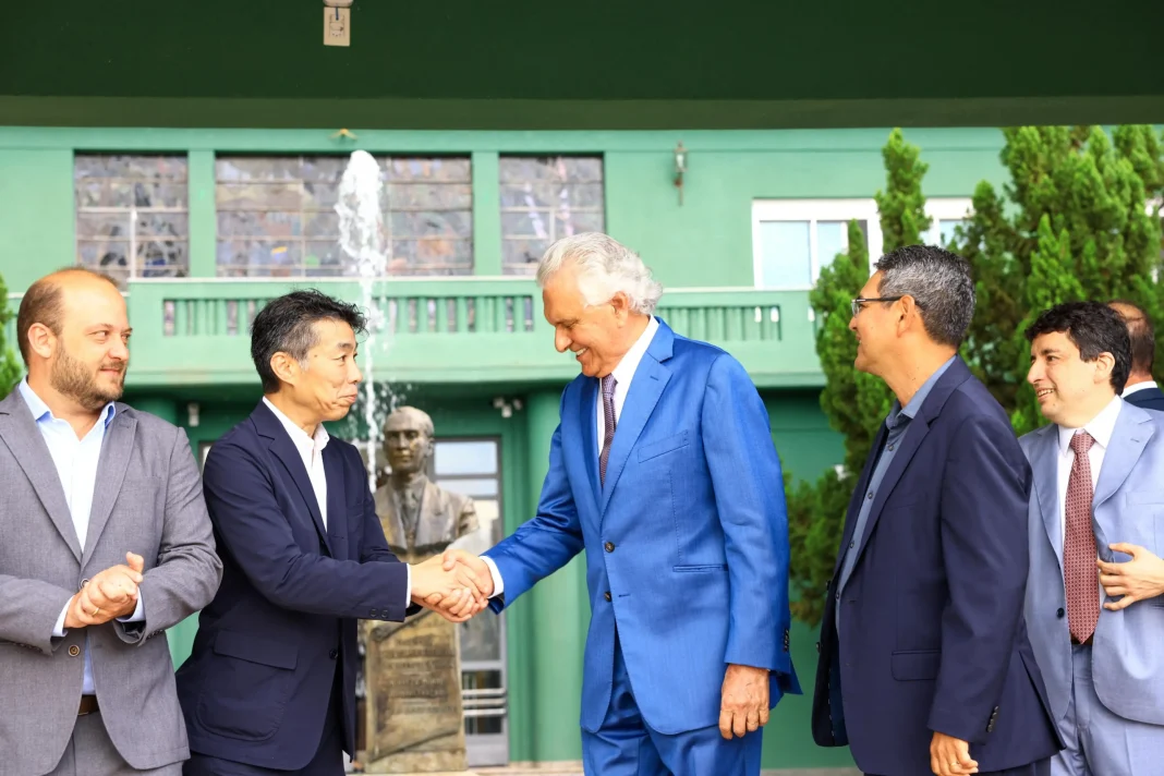 WhatsApp Image 2026-01-19 at 17.00.07