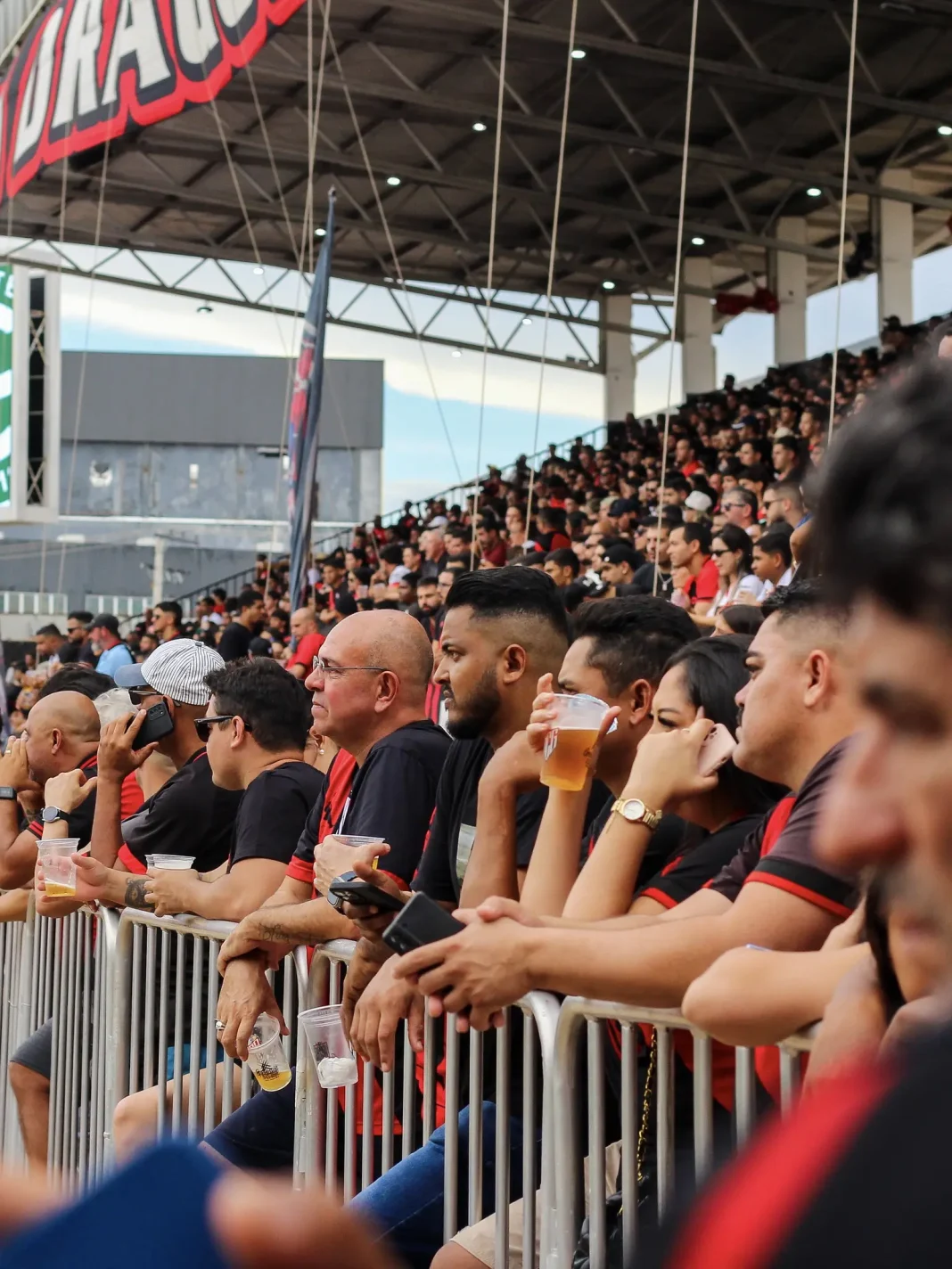 55050807989_e4cd37a794_k