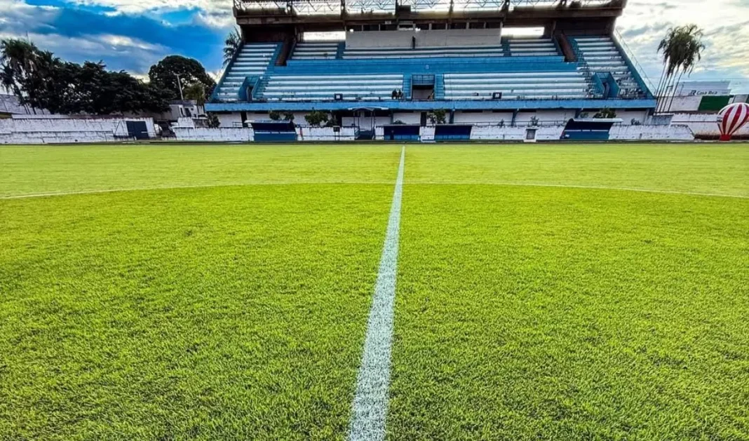 WhatsApp Image 2026-02-14 at 16.04.32